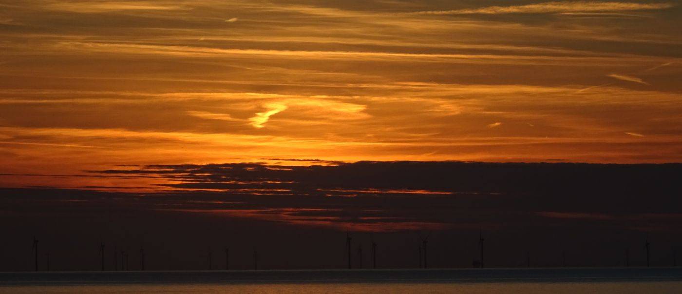 Logius-bezwaar tegen DidiD-overname; Lekken Chipsoft, Booking en Basic-Fit; Zorgpersoneel lek gescholden; Chinese sportvrouw ook